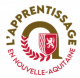 Label apprentissage en Nouvelle-Aquitaine INFA